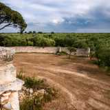 ...e il verde degli ulivi che circondano questa grande e solitaria masseria

